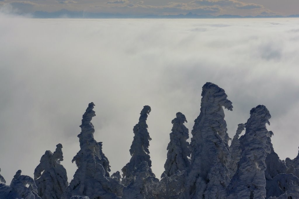 Mer de nuages: au fond les Alpes