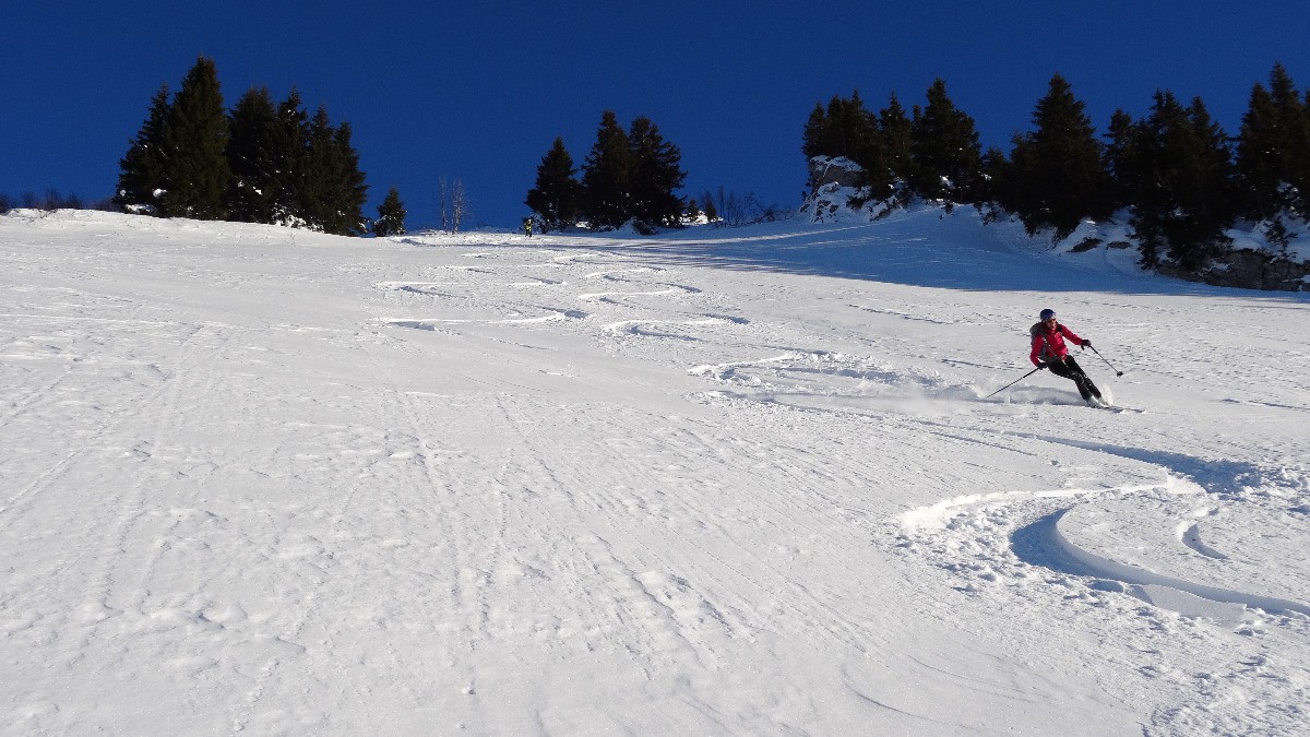 meilleur ski du jour
