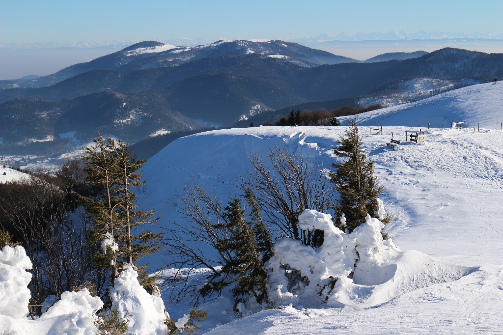 vue vers Belacker, au fond les Alpes Bernoises