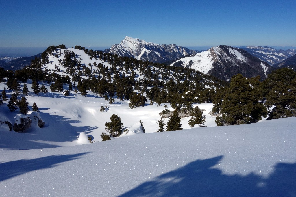 Sur fond de Grand Som...