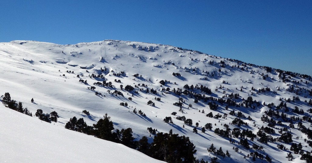 La première descente en face...