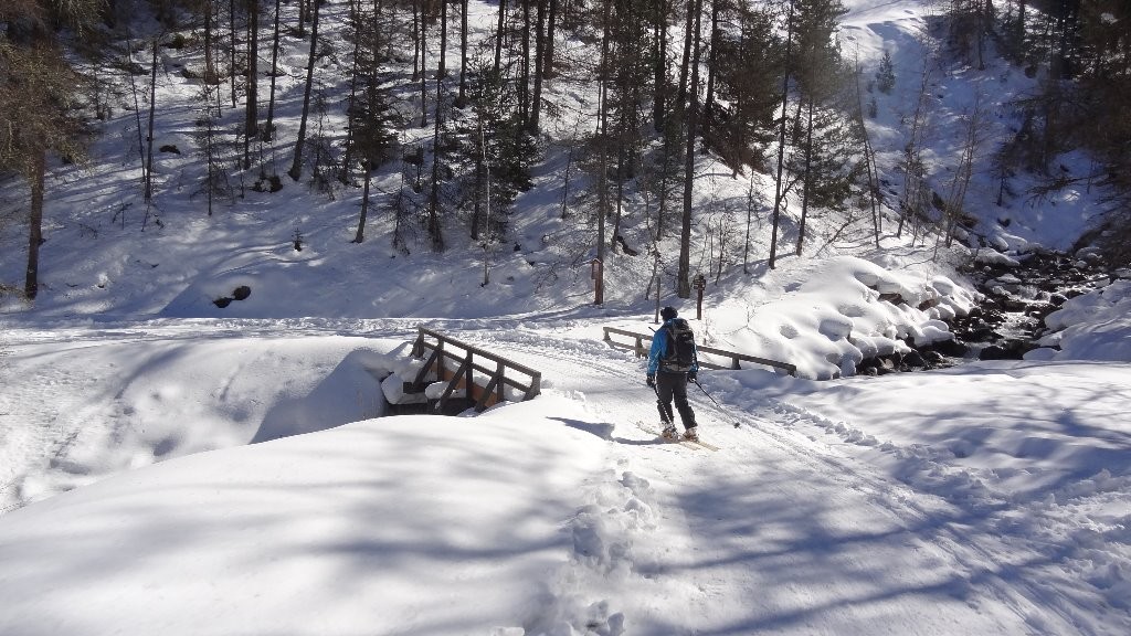 Retour piste de ski de fond
