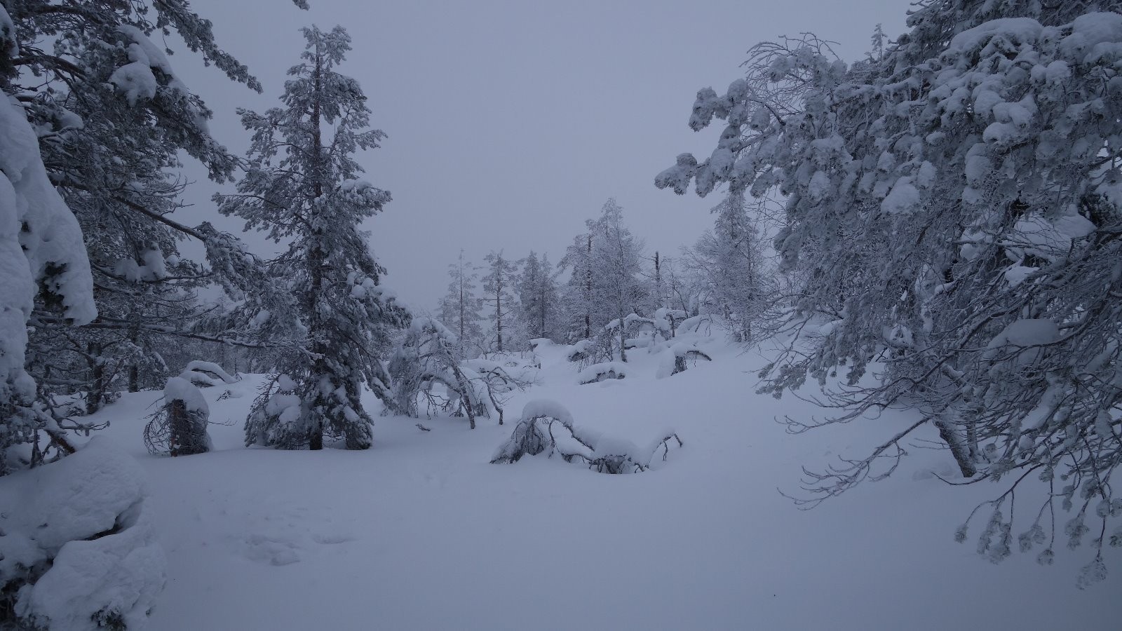 Mauvais temps du matin