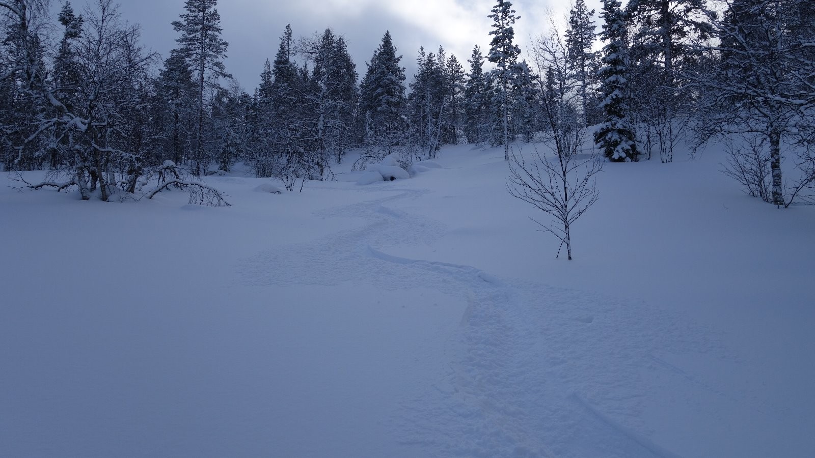 Toujours de la très bonne neige