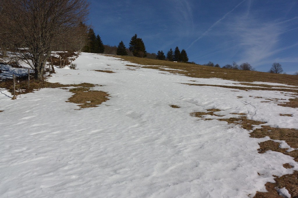 Chaumienne (bis)
une fine langue de neige permet encore de descendre jusqu'à la route