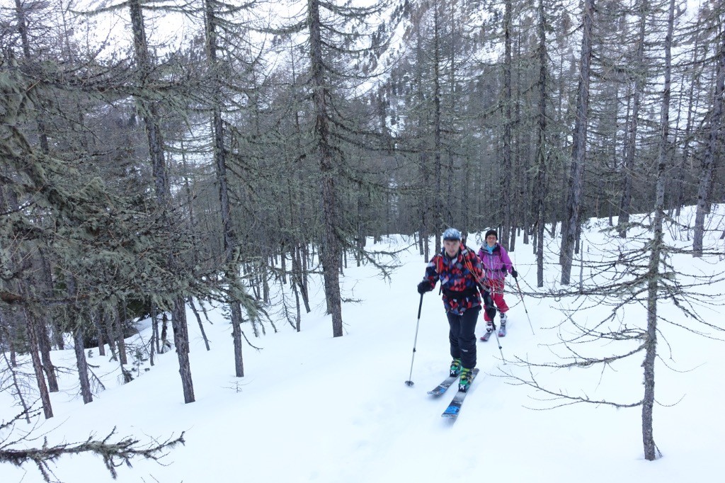 Dans la foret á gauche du téléski 