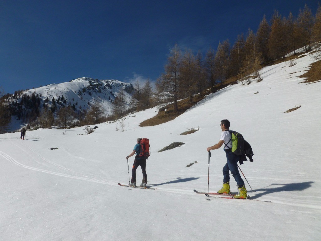 #6 manches courtes manches courtes