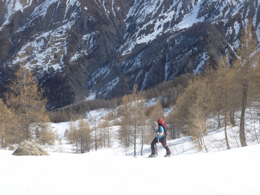 #7 au dessus des cabanes au dessus des cabanes