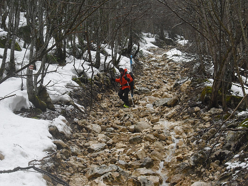 ski cross vous avez dit??