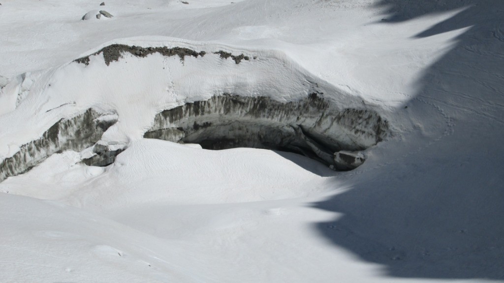 Baleine échouée sur le Glacier noir