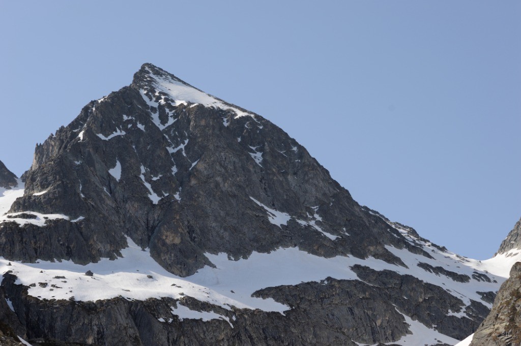 #2 Grand Barbat du lac Grand Barbat du lac