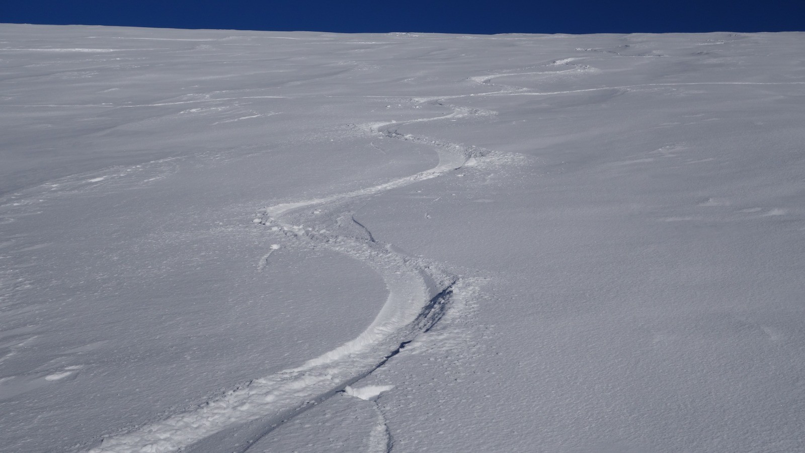 Bon secteur en poudreuse
