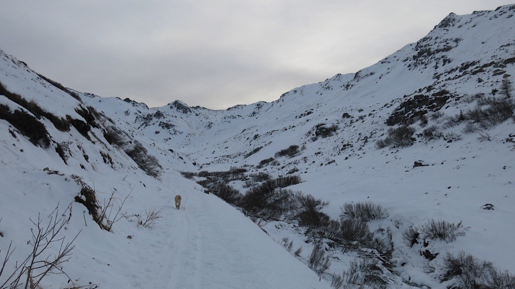 Le vallon des marches