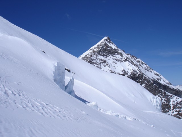 Le Mont Pourri : arête est