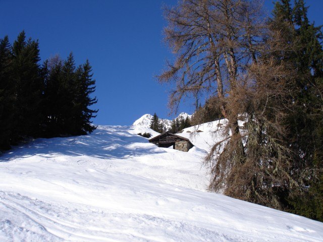 Le Crêt (1750 m) : Sortie de la forêt