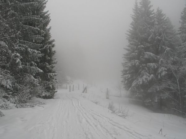 Chaussage vers Prabert : Bonne neige tombee la veille, visi zero.