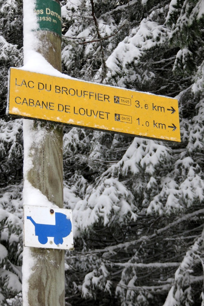 itinéraire d'initiation pour skitouriens en puissance