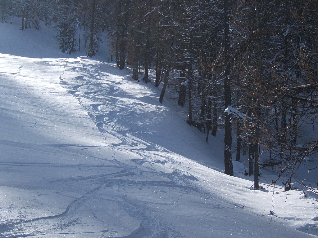 du coté des Combals . je croyais être seul ....je n'ai pas eu le temps "d'immortaliser"  ma 1er trace !!! que deux randonneurs m'ont rejoint.