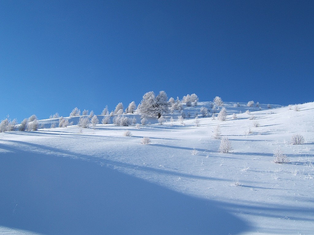 sous les crêtes de chérine (alt. 2250)