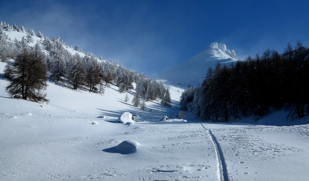 Retour dans la forêt. Les doigts vont enfin dégeler...