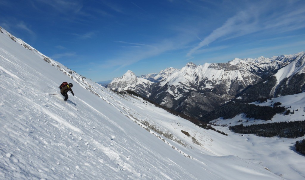 #4 poudre légèrement tassée poudre légèrement tassée