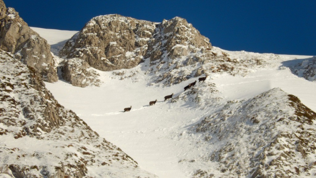 #18 Sous les Arlicots Sous les Arlicots