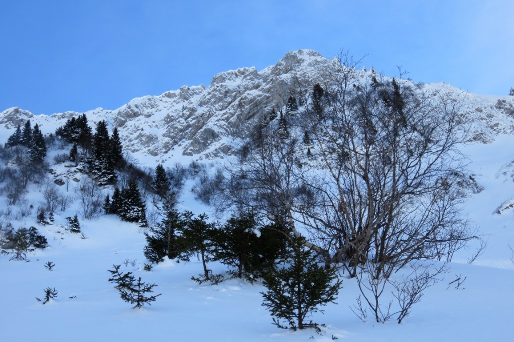 #9 On devine la rampe On devine la rampe