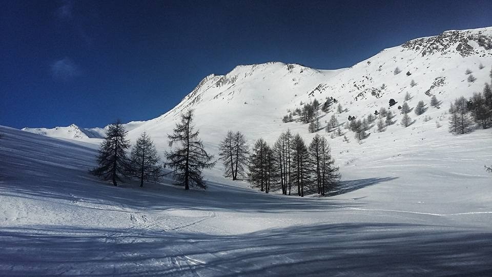 Dans le bas du Vallon de Bachasse