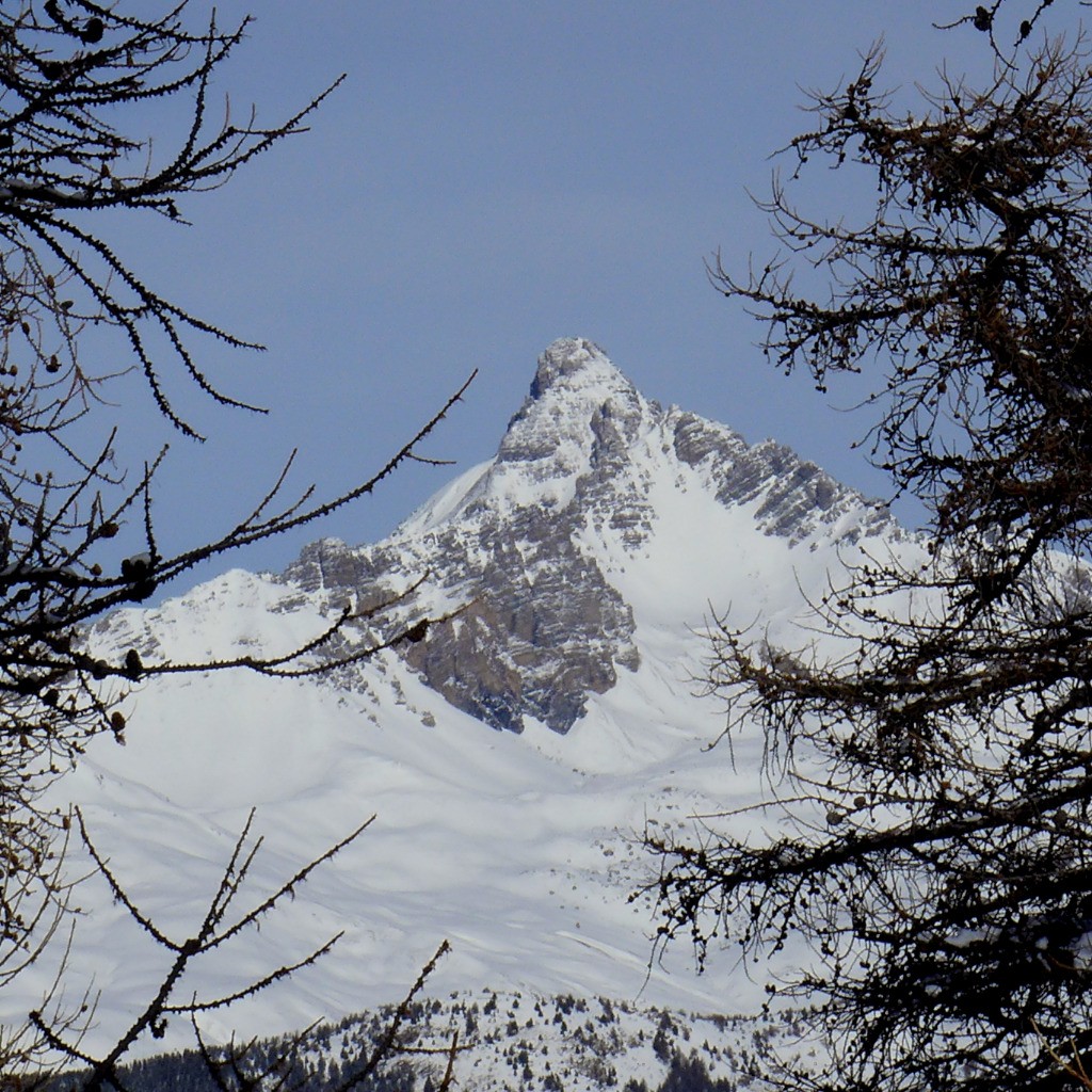 Le Grand Pic de Roche Brune: peu de neige sous le sommet.