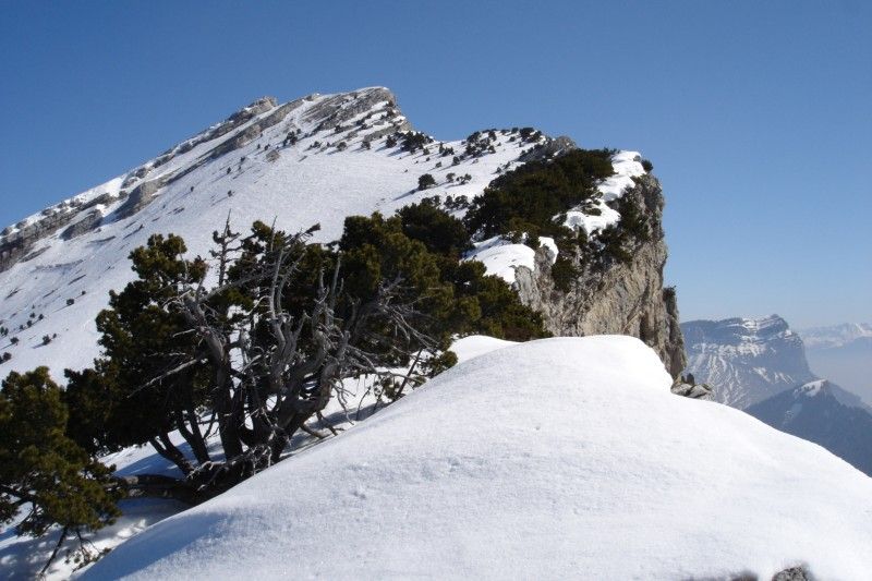 La crête : La crête de Chamechaude