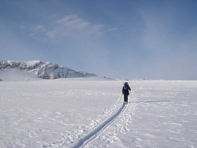 les "hauts plateaux" : ce fût une journée "ski de fond"....pour la montée seulement, dépaysement total
