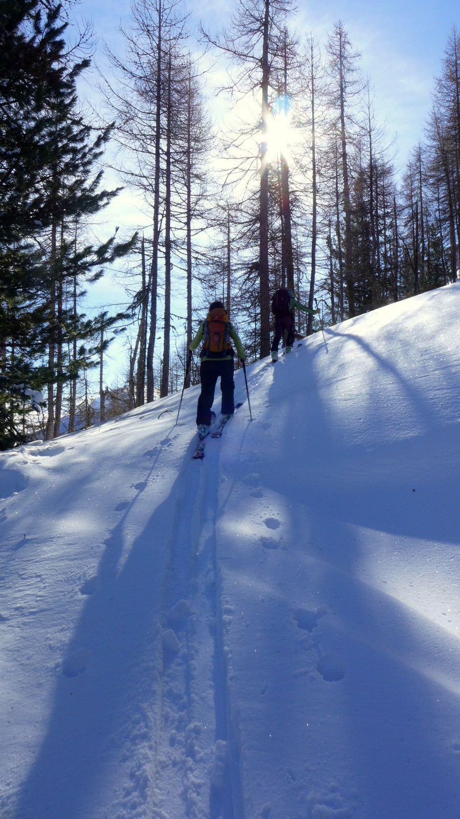 Dans le bois de Gambarel.