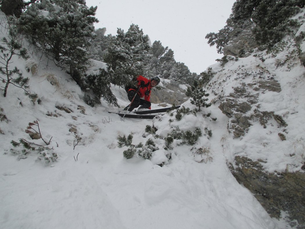 #11 ahh ça lui manquait "l ahh ça lui manquait "l'accrobranche" ! ;o)