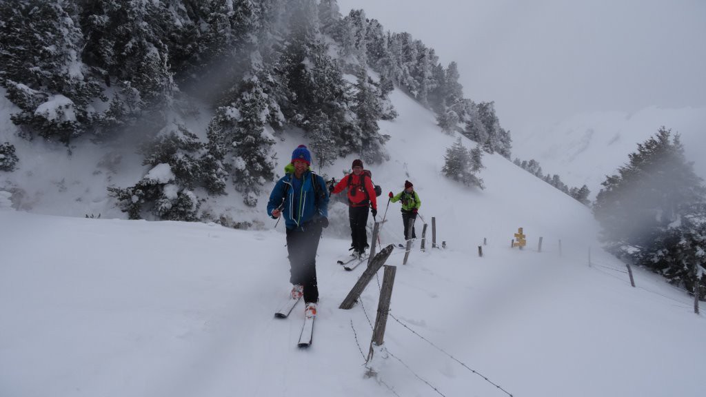 #9 les voleurs de poudre sont là !! les voleurs de poudre sont là !!