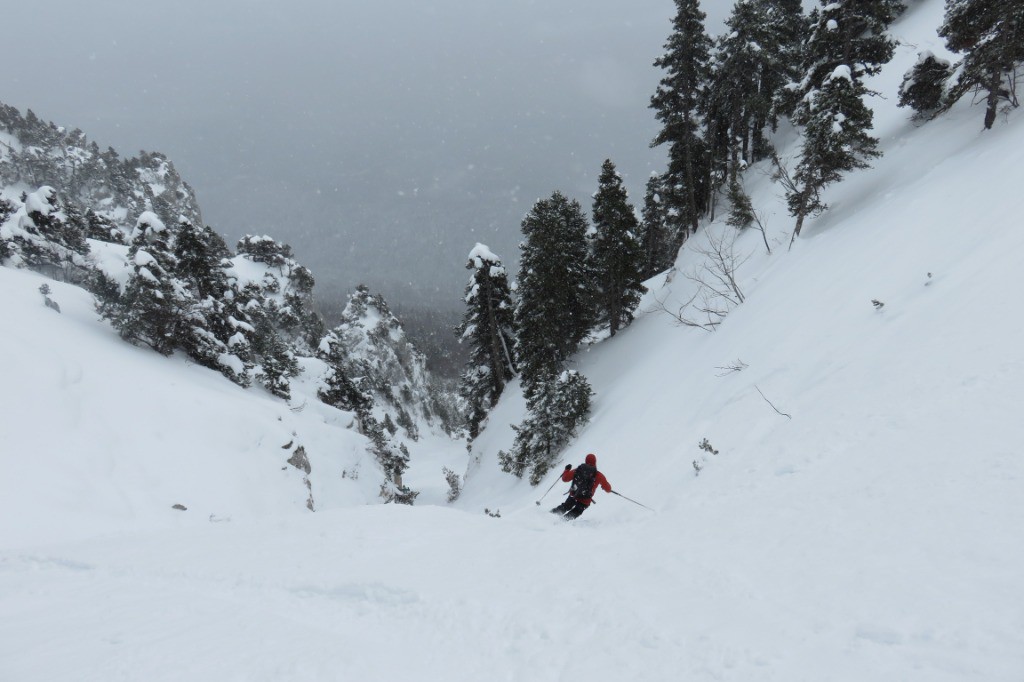 #15 Toz Le rectiligne c Toz Le rectiligne c'est tout droit!