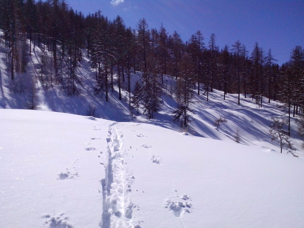 Long ski de fond au début