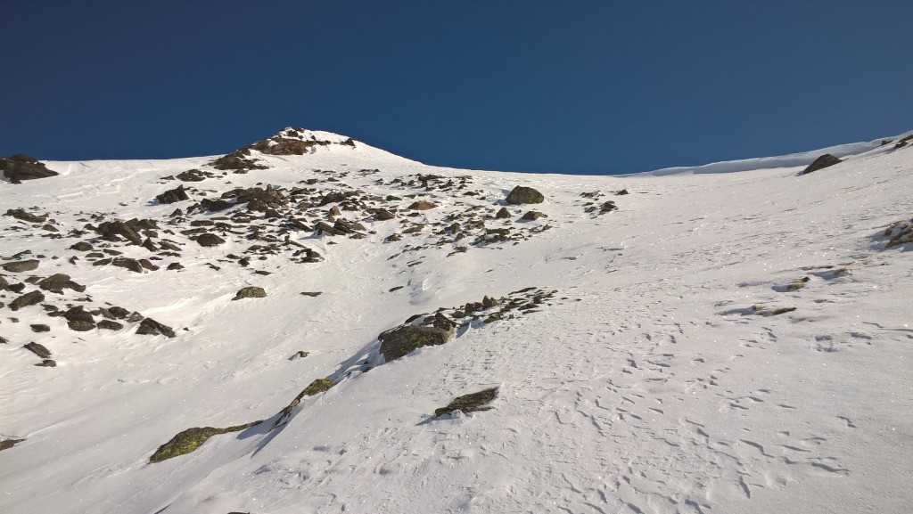 Samedi : le woof sera provoqué sous la corniche en face 