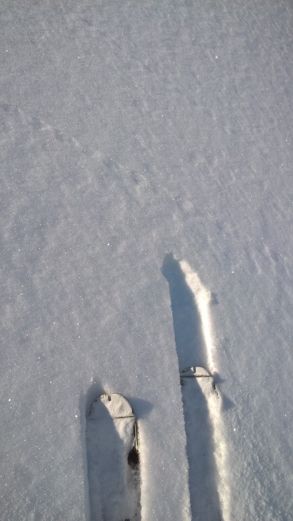 Samedi : Le résumé de ma journée