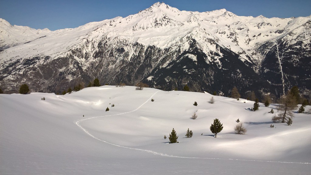 Samedi : Ma trace de montée