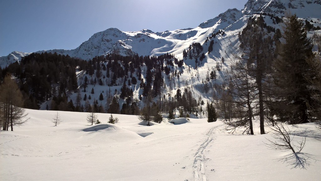 Samedi : Coup d'oeil dans le rétro