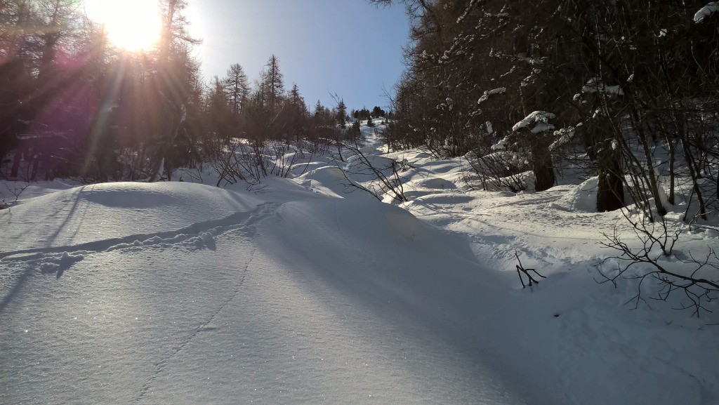 Samedi : C'est par là, c'est raide en forêt
