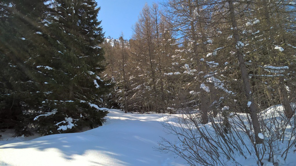Samedi : Dernière remontée, il faut trouver son chemin 