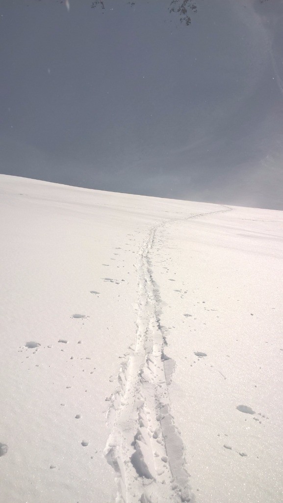 Dimanche : Encore à la trace !  