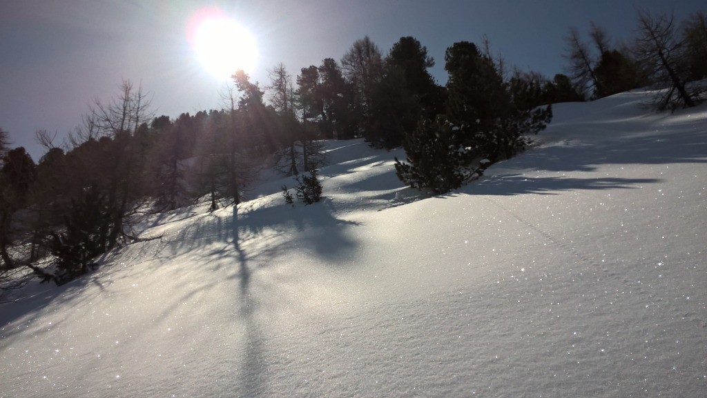 Samedi : Soleil omniprésent