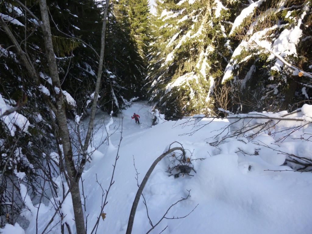 ski encore bon dans la forêt clairsemée de l'ancienne mine de fer