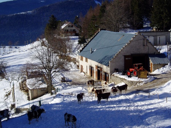 Le vercors rural : Ferme typique du vercors avec ses toits caractéristiques; randonneurs, respectez, SVP, les autochtones si vous voulez que ce type de randonnées perdurent...