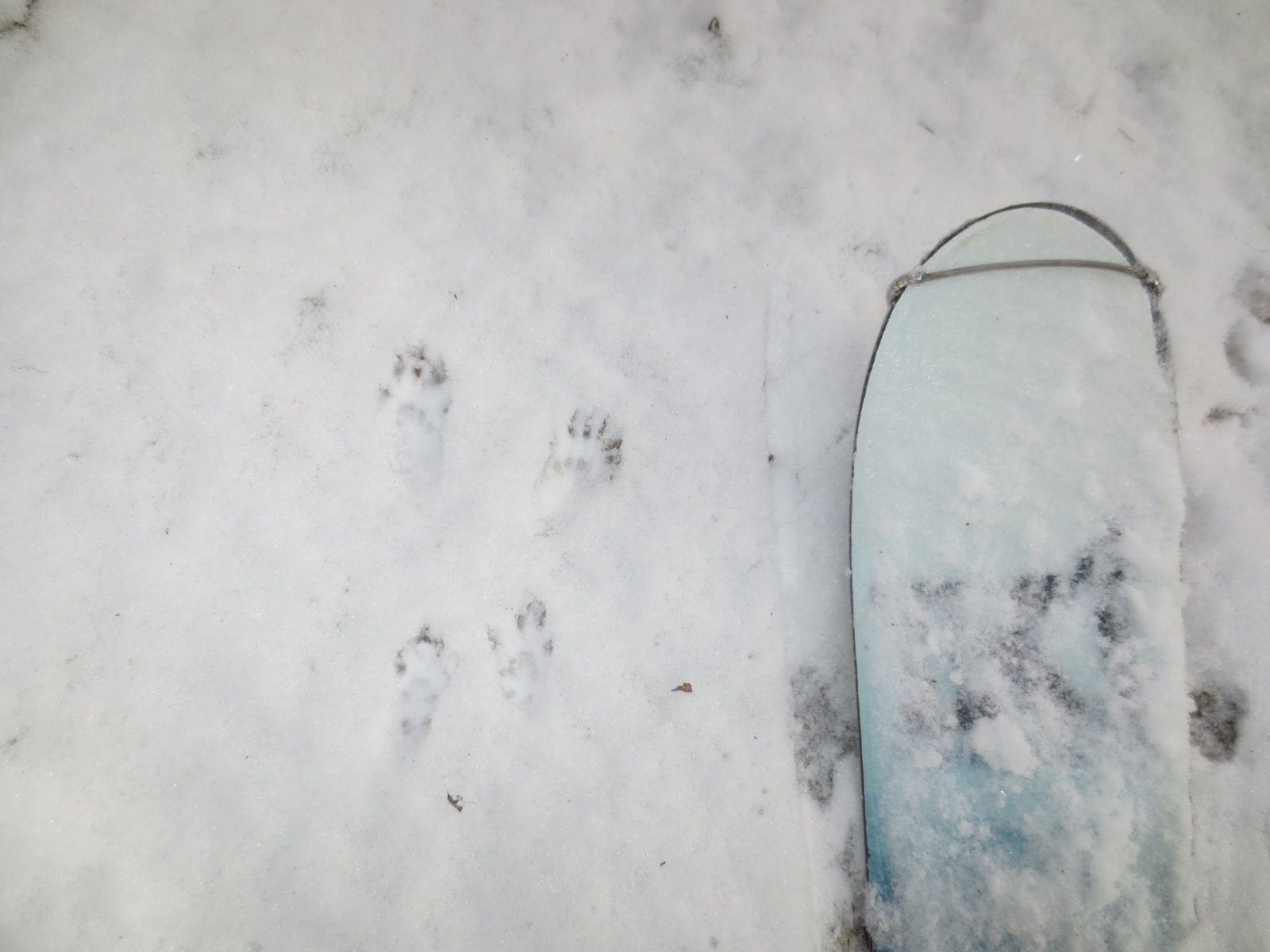 Un minuscule est passé par là !
