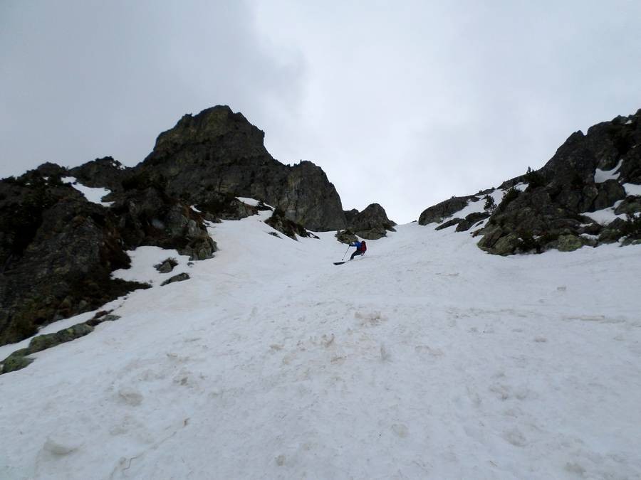 Sorbier, neige très lourde 