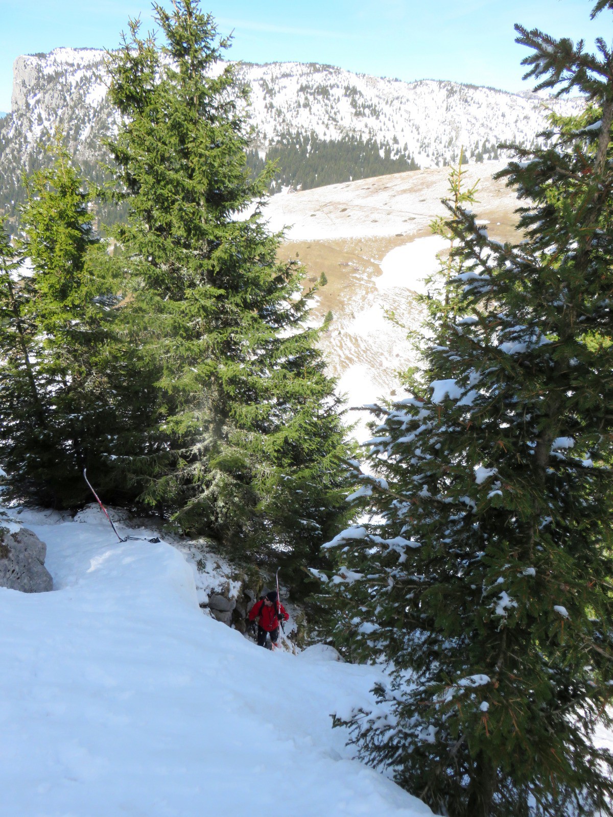 après le ski, séance d'accrobranche pour Pierre-Yves qui à lâché un ski dans le passage de la chèvre. 