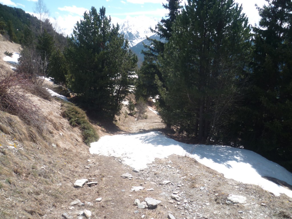 Le sentier entre le barrage et la piste enneigée